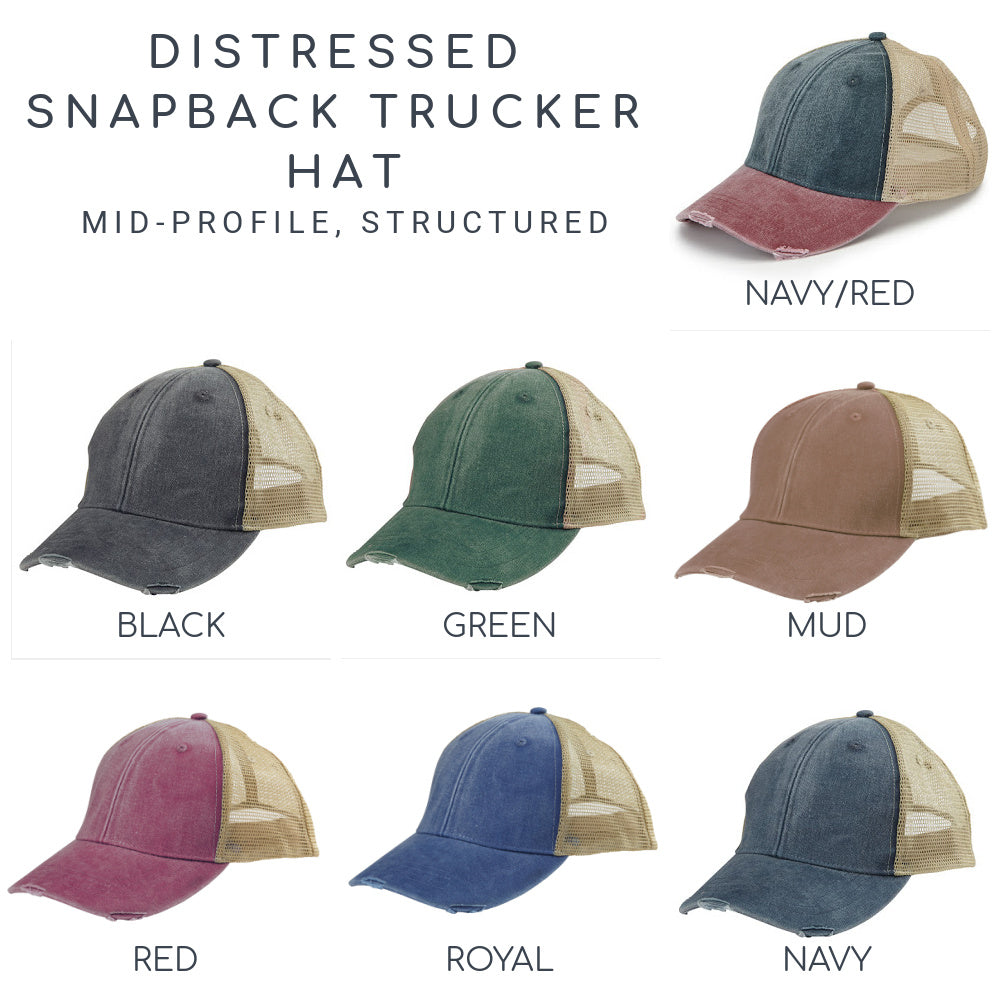 Iowa Hat | Distressed Snapback Trucker | state cap | many color choices