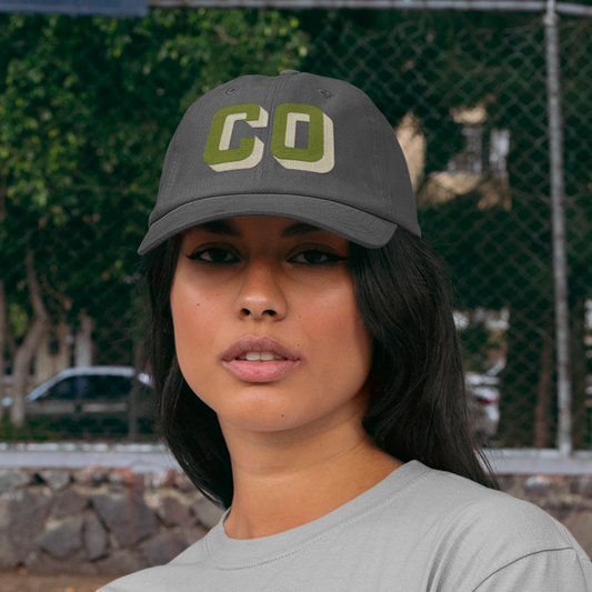 Customizable Gray Dad Hat with Olive & Cream Lettering